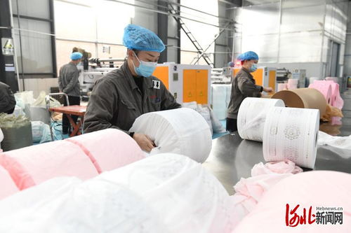 河北節(jié)后復工忙 新型膜材料制造產(chǎn)業(yè)力爭“開門紅”