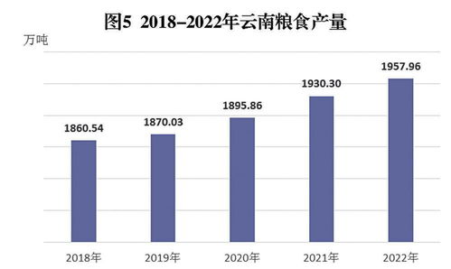 云南省2022年國民經(jīng)濟(jì)和社會發(fā)展統(tǒng)計(jì)公報(bào)解讀與咨詢服務(wù)啟示