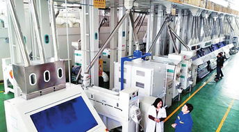 綏化經(jīng)濟(jì)社會(huì)發(fā)展穩(wěn)中向好 社會(huì)經(jīng)濟(jì)咨詢(xún)服務(wù)的賦能之路