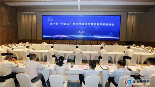 擘畫(huà)藍(lán)圖聚智慧，精準(zhǔn)把脈謀發(fā)展——我市成功召開(kāi)“十四五”經(jīng)濟(jì)社會(huì)高質(zhì)量發(fā)展專(zhuān)家咨詢(xún)會(huì)